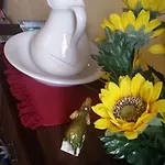 Il Patio B&B 베르가모