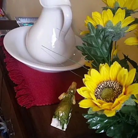 Il Patio Bed & Breakfast Bergamo