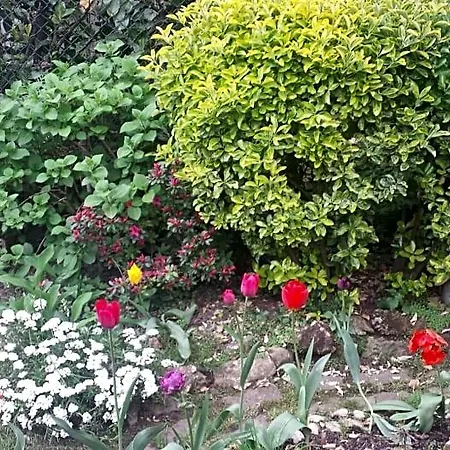 Bed & Breakfast Il Patio Bergamo