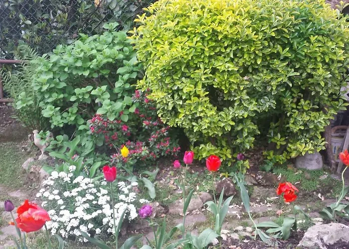 Il Patio Bed & Breakfast 3*