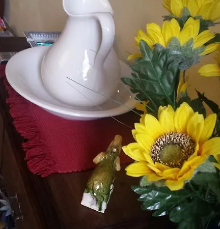 Il Patio Bed and Breakfast Μπέργκαμο