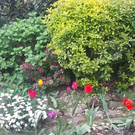 Il Patio Bed and Breakfast 3*